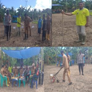 Gelar Penanaman Padi Masal Kelompok Tani Desa Kilon, Kecamatan Wuarlabobar Berjalan lancar dan Sukses