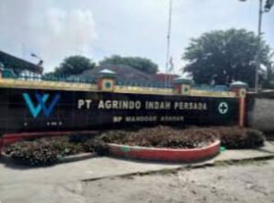 PT AIP Diduga Langgar UU Ketenagakerjaan: Buruh Tak Terdaftar di BPJS