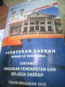 Dinkes Asahan Bantah Anggaran Deteksi Dini Napza, Perda Tegaskan Nilai & Target Layanan