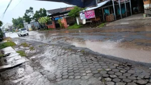 Jalan Berlubang di Sejumlah Titik Kendal Dikeluhkan Warga, DPUPR Lakukan Penambalan Bertahap