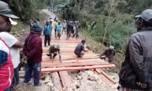 Gotong Royong Warga Jayawijaya: Bersatu Perbaiki Jembatan Penghubung