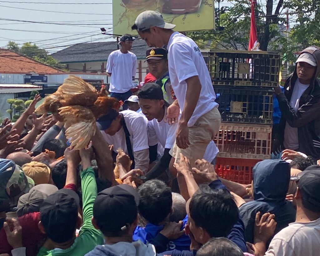 Peternak Kendal Lepas 15.000 Ayam di Alun-Alun, Protes Harga Pakan Melonjak dan Telur Anjlok