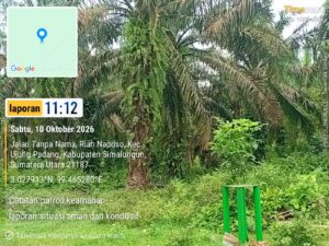 Buruknya Perawatan Kebun Jadi Sorotan, Kinerja Asisten Afdeling VI Kebun Tinjowan Dipertanyakan